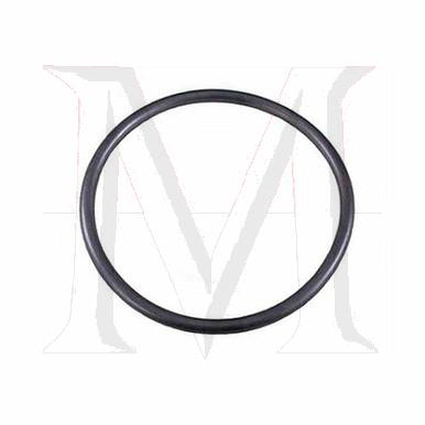 O-RING THERMOSTAT